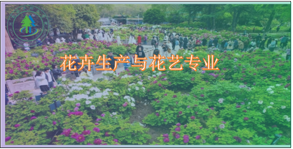 bb8db92d018a4ba98bbdafb58675c80a.png