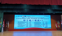 汽车工程学院在2025一带一路暨金砖国家技能发展与技术创新大赛中斩获佳绩