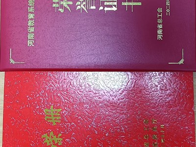 热烈祝贺我校教师荣获省教学技能竞赛一等奖