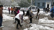 图片新闻：生态系学生会义务除雪