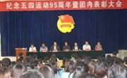 纪念五四运动95周年暨共青团表彰大会隆重召开