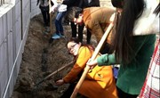 春意浓浓，经贸系积极参与植树校园活动