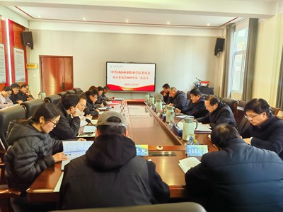 我校召开2025年党委审计委员会第二次会议