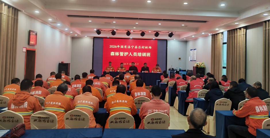 赋能基层林业建设 助力林场高质量发展