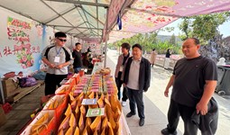 商务学院领导看望慰问牡丹花会实习学生