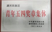 喜报！院团委荣获瀍河区“青年五四奖章集体” 