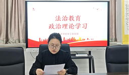 学法明底线守法践初心艺术学院学工党支部举办法治教育主题党日活动