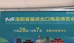 我院非遗项目“国风积木”精彩亮相洛阳首届进出口商品博览会